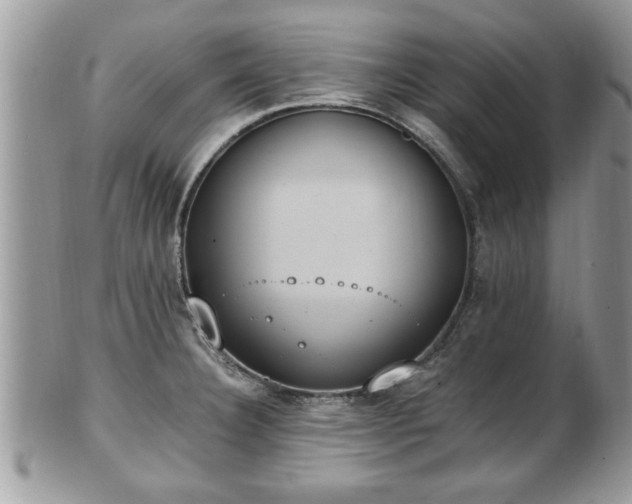 X0000101191332200807071305