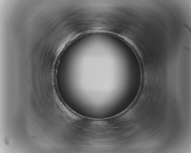 X0000101191333200807071305