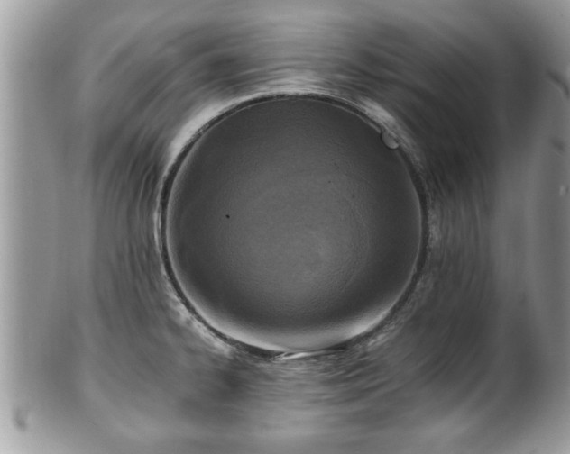 X0000101191334200807071305