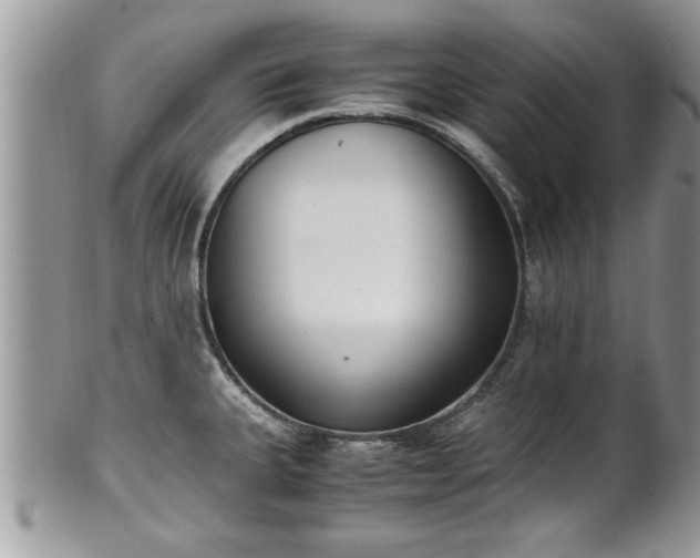 X0000101191335200807071305