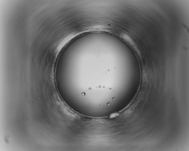 X0000101191336200807071305