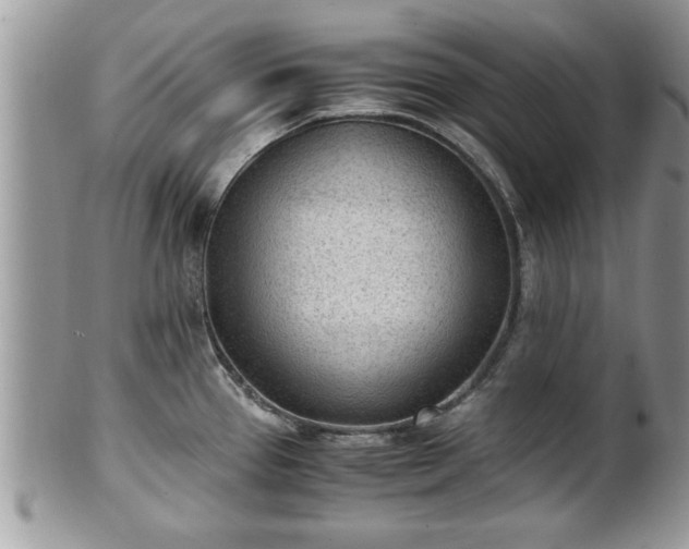 X0000101191337200807071305