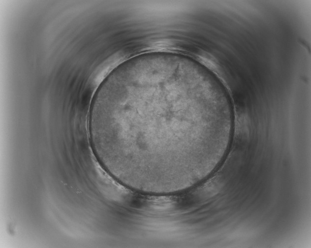 X0000101191338200807071305