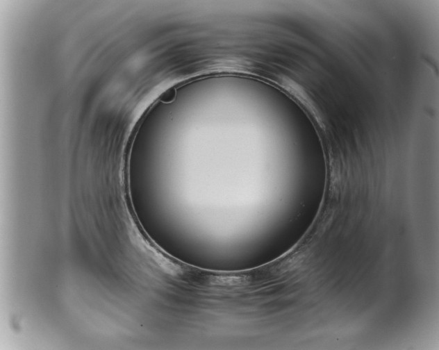 X0000101191339200807071305