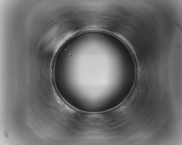 X0000101191341200807071305