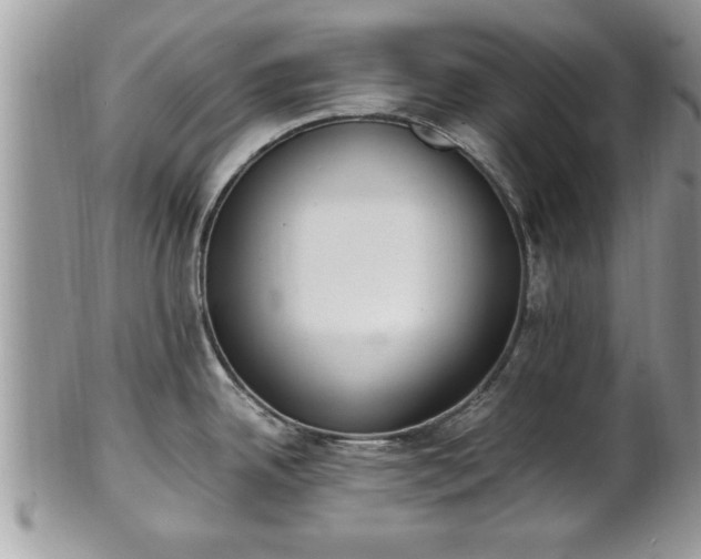 X0000101191342200807071305
