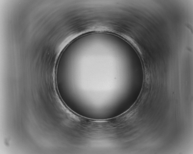 X0000101191343200807071305