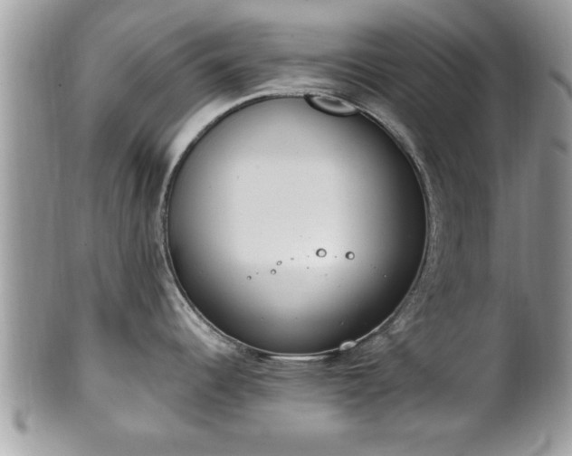 X0000101191344200807071305