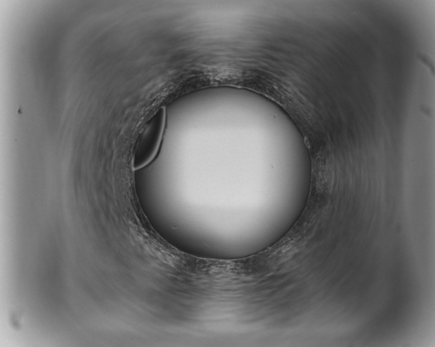 X0000101191345200807071305