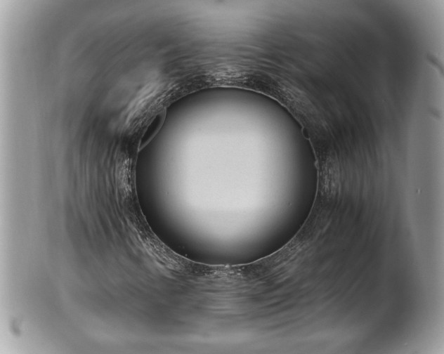 X0000101191346200807071305