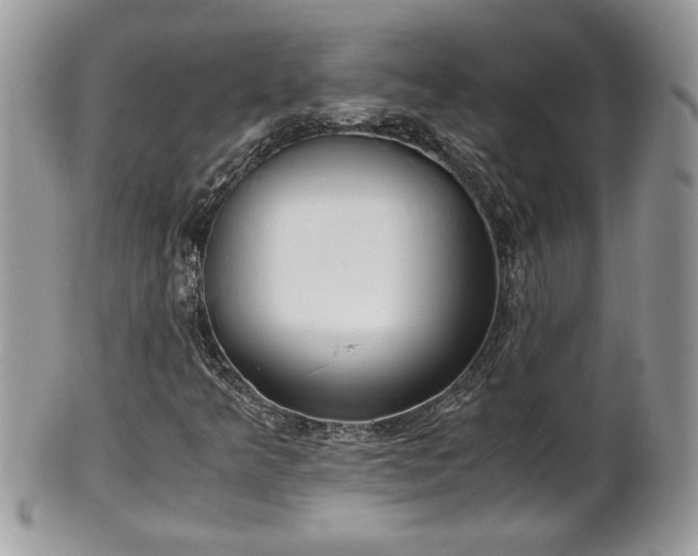X0000101191349200807071305