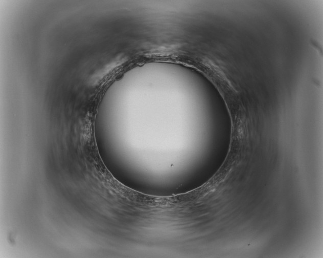 X0000101191350200807071305