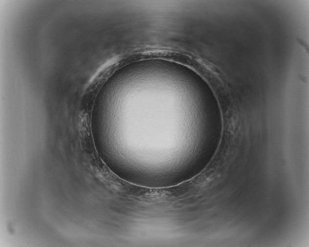 X0000101191351200807071305
