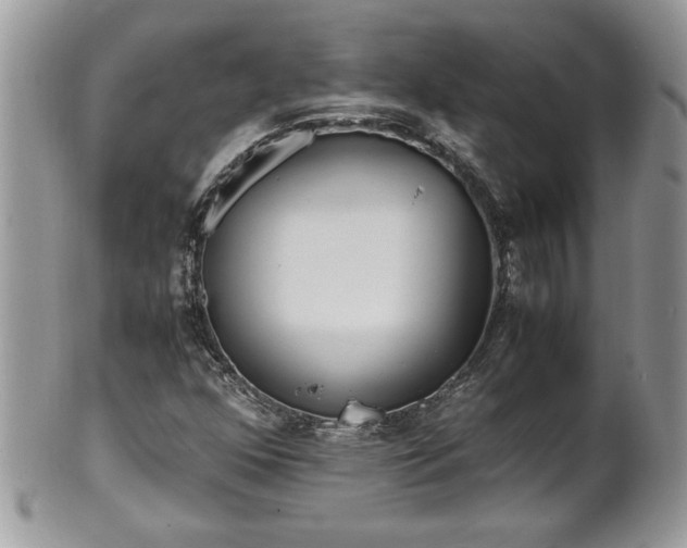 X0000101191352200807071305