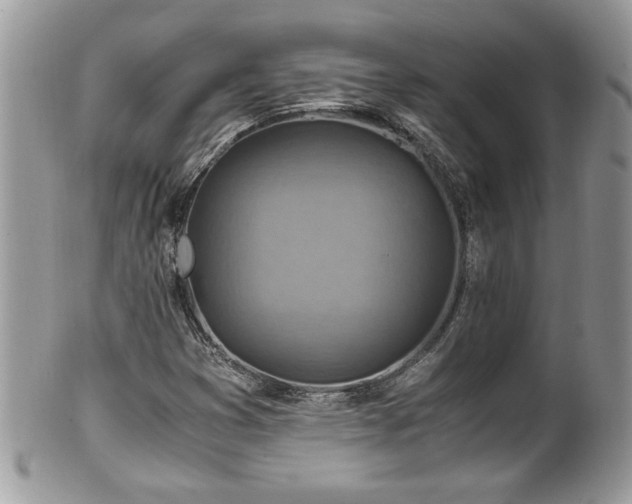 X0000101191353200807071304