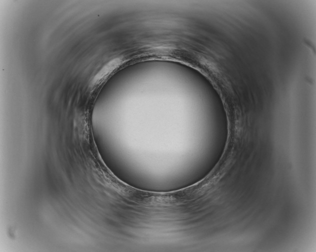 X0000101191354200807071304