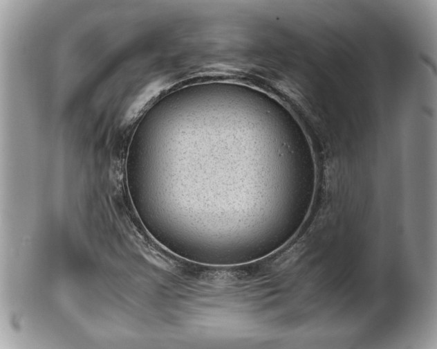 X0000101191355200807071304