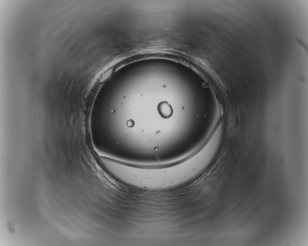 X0000101191356200807071304