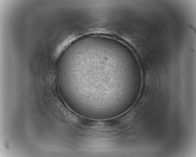 X0000101191359200807071304