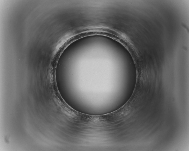 X0000101191360200807071304