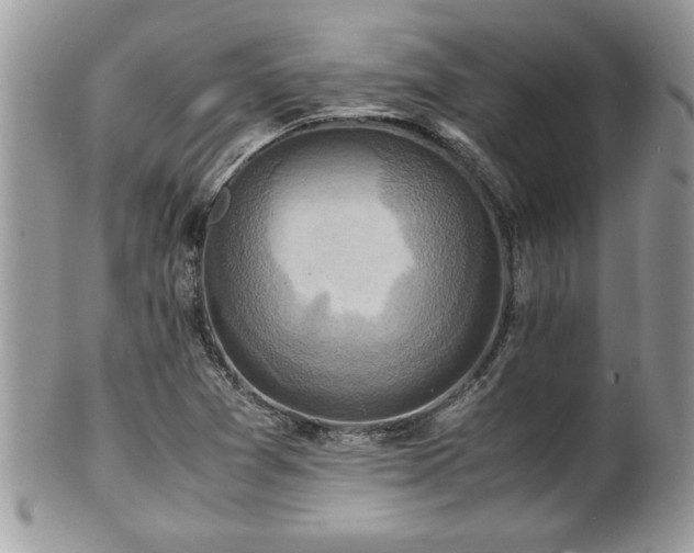 X0000101191361200807071304