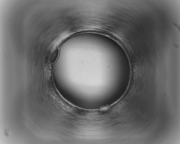X0000101191363200807071304