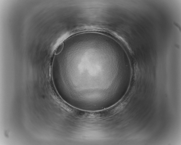 X0000101191365200807071304