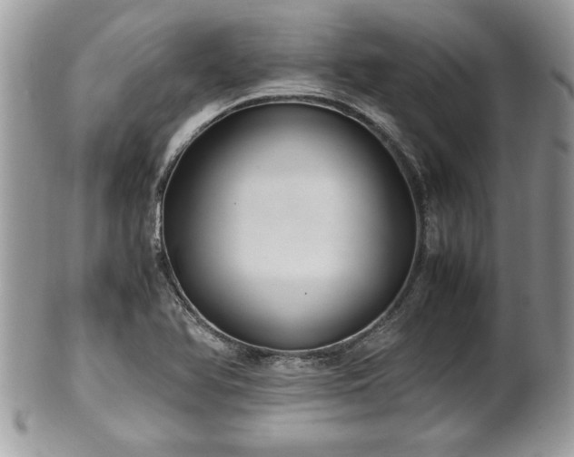 X0000101191366200807071304