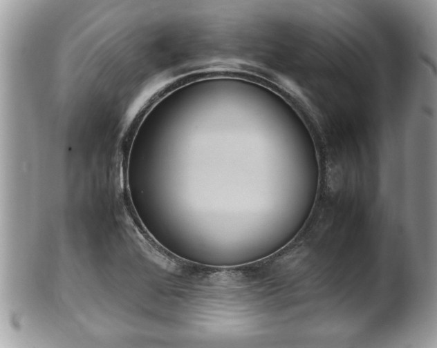 X0000101191368200807071304