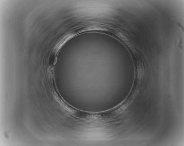 X0000101191369200807071304