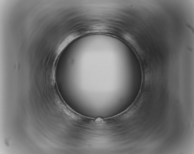 X0000101191370200807071304