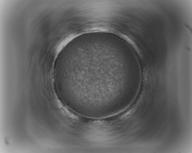 X0000101191373200807071304