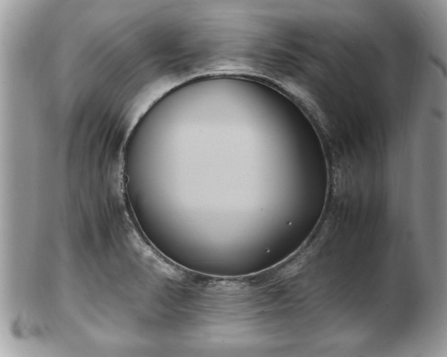 X0000101191374200807071304