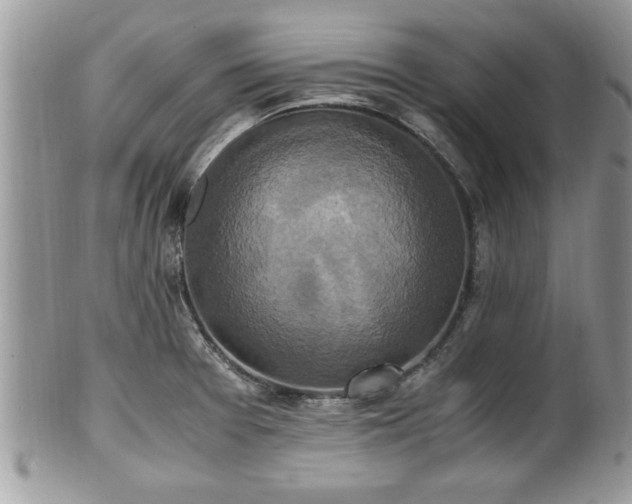 X0000101191377200807071304