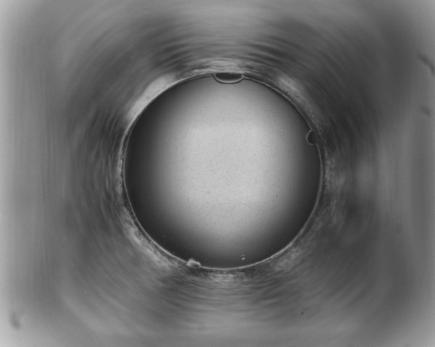 X0000101191378200807071304