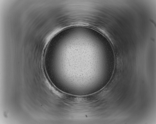 X0000101191379200807071304