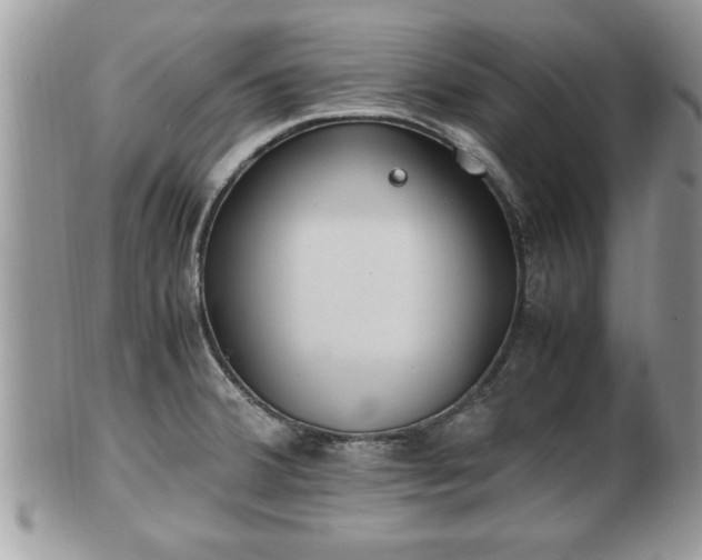 X0000101191380200807071304