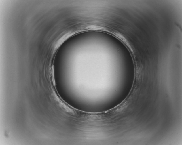 X0000101191381200807071304