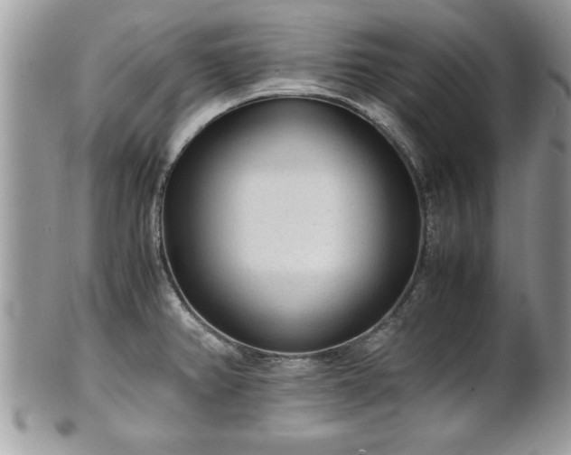 X0000101191382200807071304