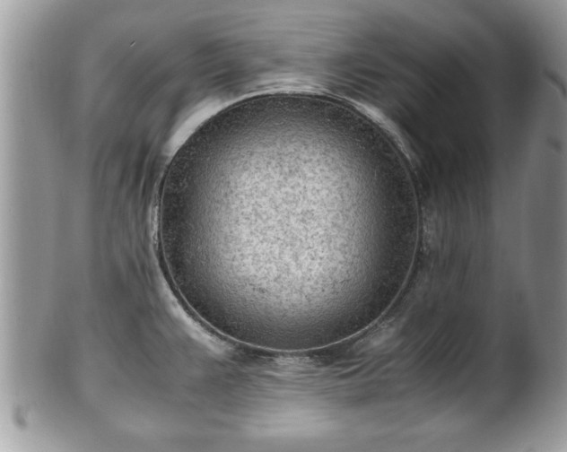 X0000101191383200807071304