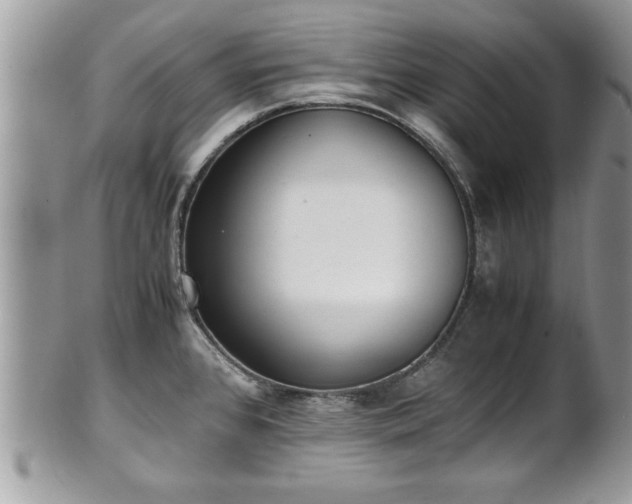 X0000101191384200807071304
