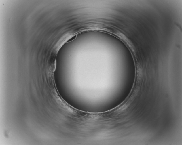 X0000101191385200807071304