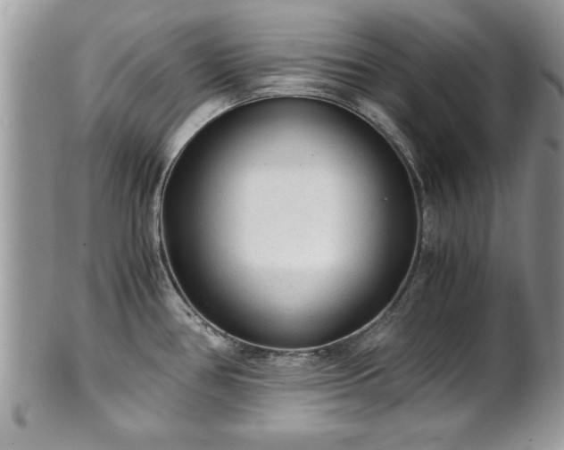 X0000101191386200807071304