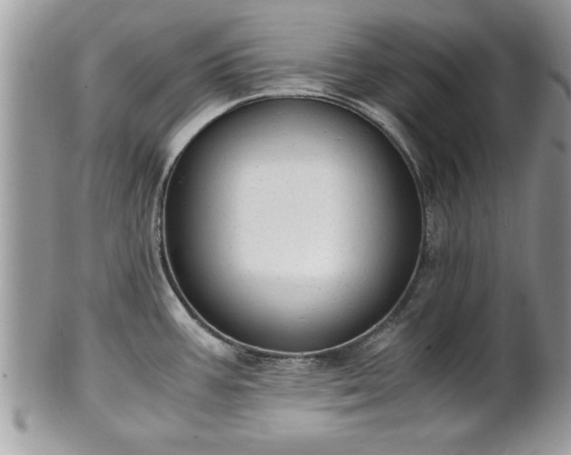 X0000101191387200807071304