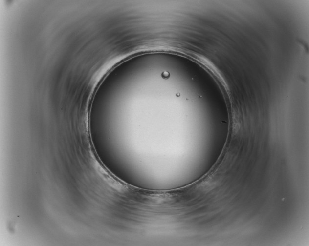 X0000101191388200807071304