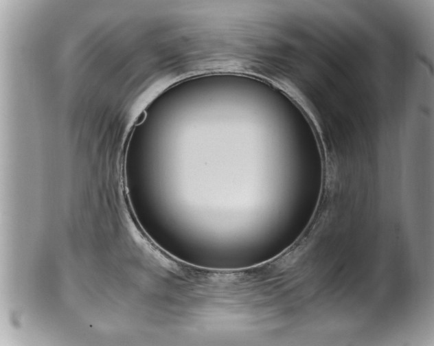 X0000101191389200807071304