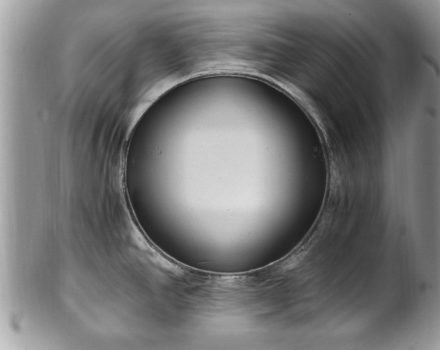 X0000101191390200807071304
