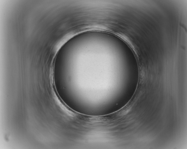 X0000101191391200807071304