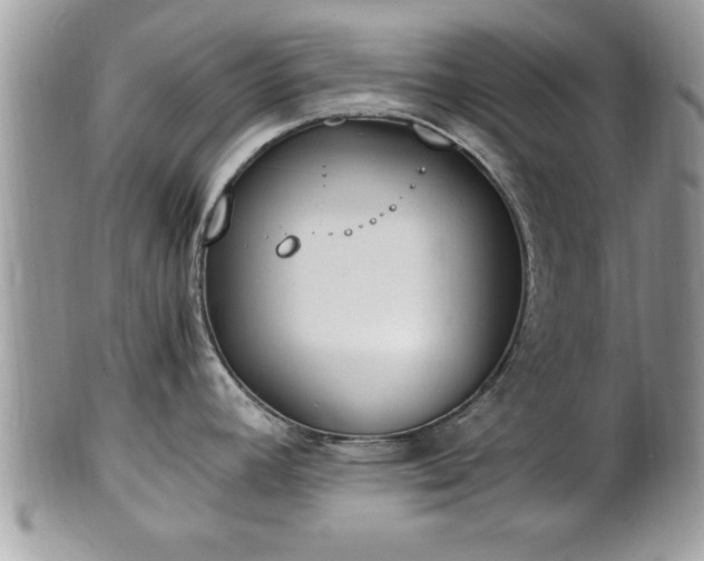 X0000101191392200807071304