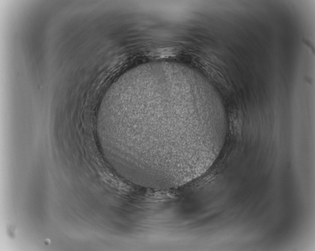 X0000101191393200807071303